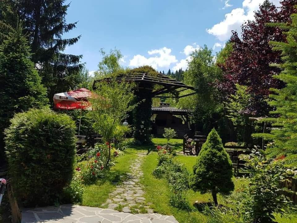 Aigi Privatunterkunft Buşteni